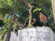 Come home holiday bungalow & villa