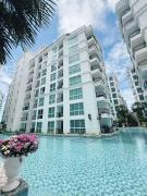 芭提雅市中心高端泳池花园公寓 椰子树下步行街旁