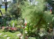 FERIENINSEL-AN-DER-DREISAM