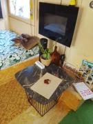 Top Monção Top Monção