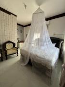 Orangutan Inn - Trekking & Transport Only Book With Us