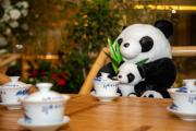 Top Chengdu