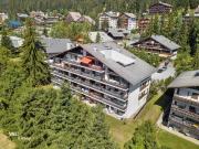 Alpine Nest Crans-Montana