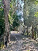 Top Massaciuccoli Top Massaciuccoli