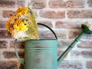 Top Châtenay-Malabry