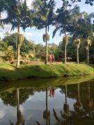 Sitio cantinho Fischer Feitosa