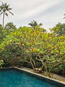 Top Varkala