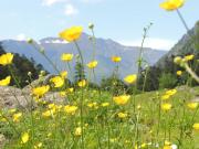 Top Cauterets