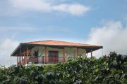 Finca La Coqueta Coffee Farm
