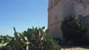 Top Torre Colimena