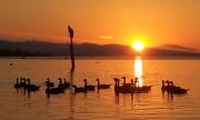 Top Parksville Top Parksville