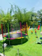 Top Wayanad