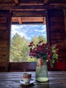 Vila Priroda Divčibare