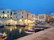 Top Giovinazzo