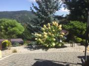 Top Stróża Top Stróża