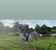 Kings view exclusive villas (KVEV)