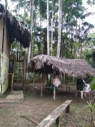 ECO HOSTAL El VIEJO BOSQUE TOUR AMAZON