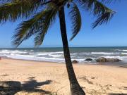 Top Mata de São João