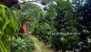 Bao Ong Thien Retreat and Senior Living - Khu Nghỉ Dưỡng Bào Ông Thiền