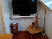 Appartement 2 Pièces à Vignec, Jusquà 6 Personnes - FR-1-504-695