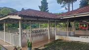 Top Ciguntur