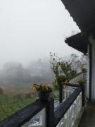 Dark Cool Villa Nuwaraeliya