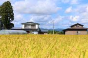 花筏-hanaikada-