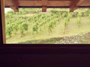 Top Berbenno di Valtellina