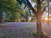 Top Saint-Colomb-de-Lauzun
