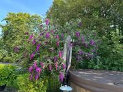 Top Degnbøl Top Degnbøl