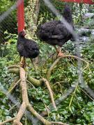 Top Degnbøl Top Degnbøl