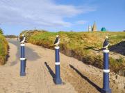 Top Newbiggin-by-the-Sea