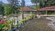Top Ciguntur