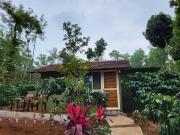 CoffeeINN Homestay - Private Cottage, Water Activities and Home Food