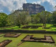 Tree Nest Sigiriya