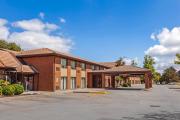 Top Brantford