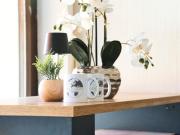 Ochsenkopf-apartment