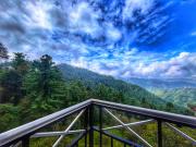 Top Shimla Top Shimla