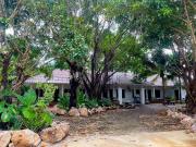 Top Ban Hua Phrong