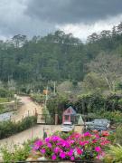 Top Lạc Dương Top Lạc Dương