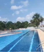 Top Belém