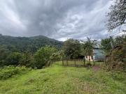 Cozy Guesthouse in Qvabgha, 5 min from Nabeghlavi