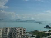 Top Jelutong