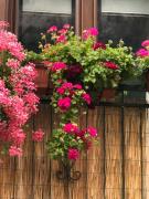 Top SantʼAngelo le Fratte