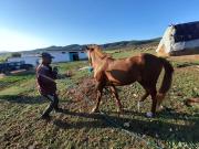 Grandpas Farm ضيعة جدّي