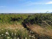 4 star holiday home in Rønde-By Traum