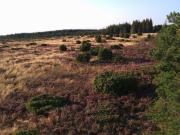 Top Hadsund Top Hadsund