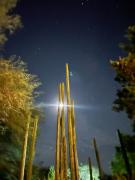 Top San Miguel de Allende