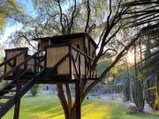 Top San Miguel de Allende Top San Miguel de Allende