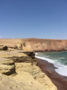 Top Paracas